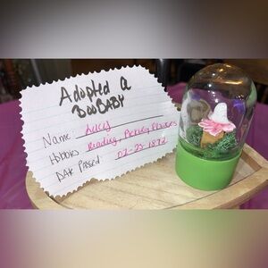 Green and Pink Snow Globe